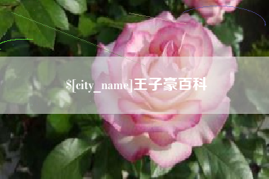 济源王子豪百科