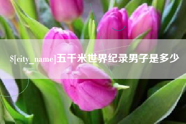 济源五千米世界纪录男子是多少