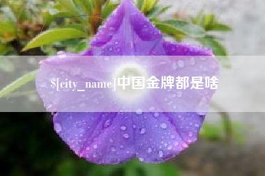 济源中国金牌都是啥