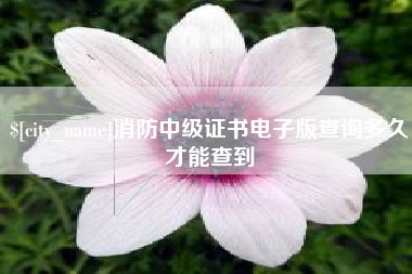 济源消防中级证书电子版查询多久才能查到