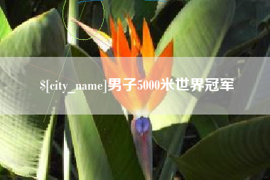 济源男子5000米世界冠军