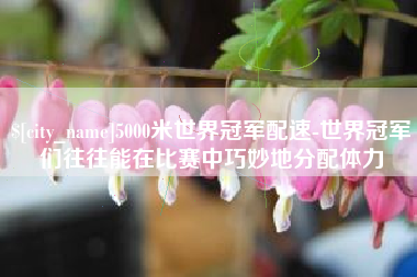 济源5000米世界冠军配速-世界冠军们往往能在比赛中巧妙地分配体力