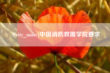 济源中国消防救援学院要求