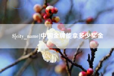 济源中国金牌能拿多少奖金
