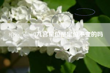 济源九宫星位是定位不变的吗