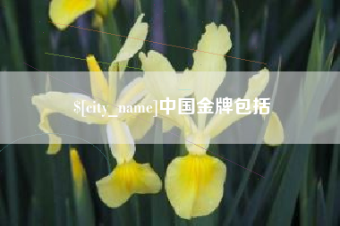 济源中国金牌包括