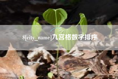 济源九宫格数字排序
