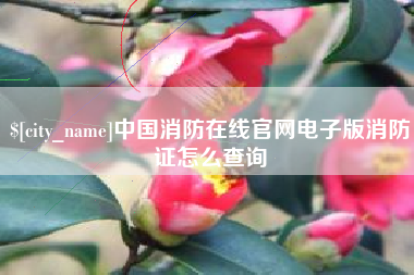 济源中国消防在线官网电子版消防证怎么查询