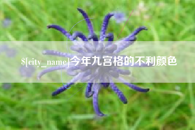 济源今年九宫格的不利颜色