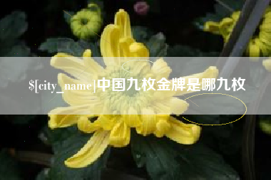 济源中国九枚金牌是哪九枚