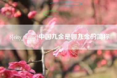 济源中国九金是哪九金的简称