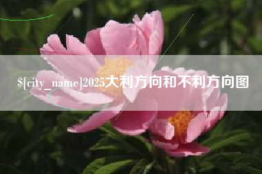 济源2025大利方向和不利方向图