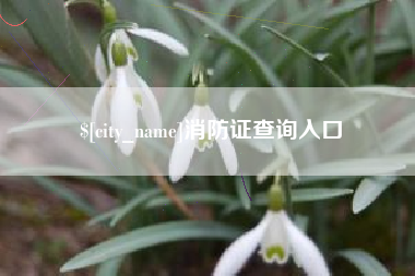 济源消防证查询入口