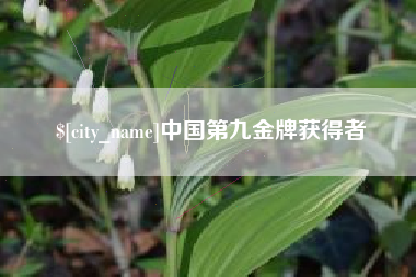 济源中国第九金牌获得者