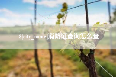济源消防证查询怎么查