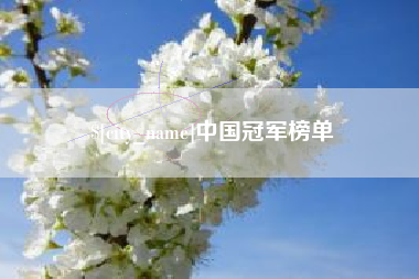 济源中国冠军榜单