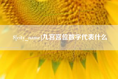 济源九宫宫位数字代表什么