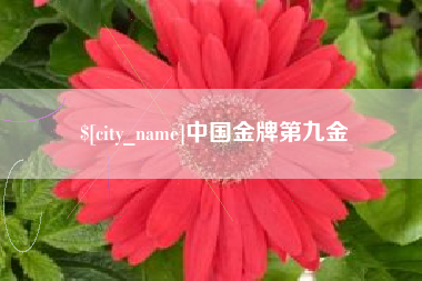 济源中国金牌第九金