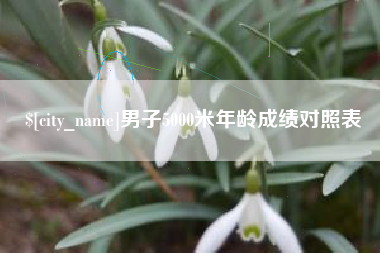 济源男子5000米年龄成绩对照表