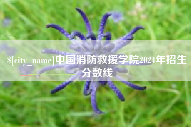 济源中国消防救援学院2024年招生分数线