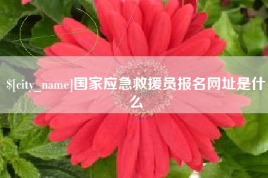 济源国家应急救援员报名网址是什么
