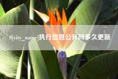 济源执行信息公开网多久更新