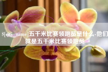济源五千米比赛领跑员是什么-他们就是五千米比赛领跑员