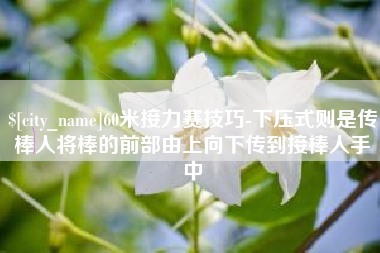 济源60米接力赛技巧-下压式则是传棒人将棒的前部由上向下传到接棒人手中