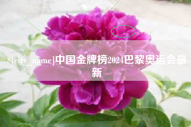 济源中国金牌榜2024巴黎奥运会最新