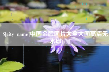 济源中国金牌图片大全大图高清无水印