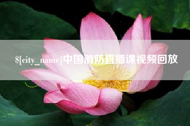 济源中国消防直播课视频回放