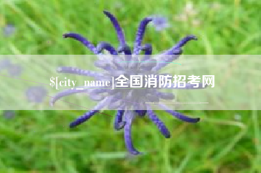 济源全国消防招考网