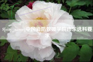 济源中国消防救援学院山东选科要求