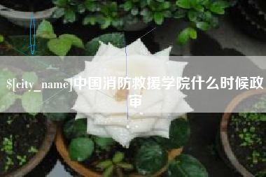 济源中国消防救援学院什么时候政审