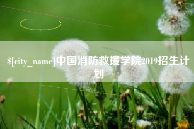 济源中国消防救援学院2019招生计划