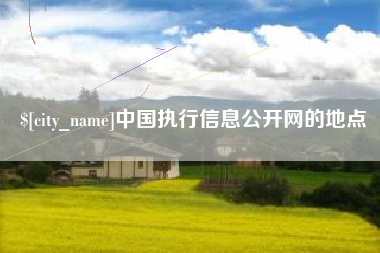 济源中国执行信息公开网的地点