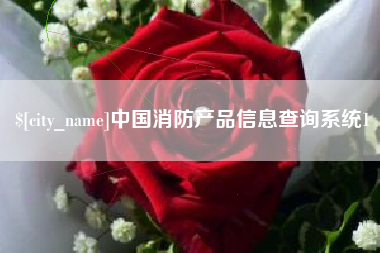 济源中国消防产品信息查询系统1