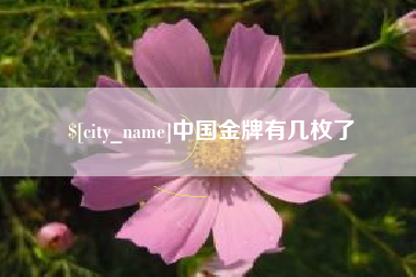 济源中国金牌有几枚了