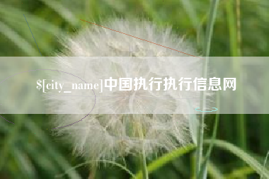 济源中国执行执行信息网
