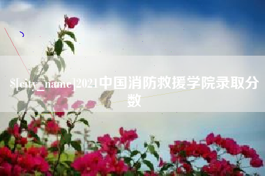 济源2021中国消防救援学院录取分数