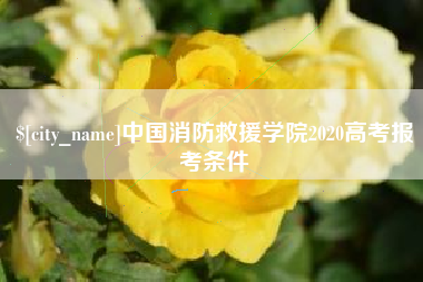 济源中国消防救援学院2020高考报考条件