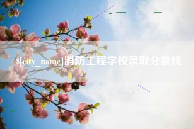 济源消防工程学校录取分数线