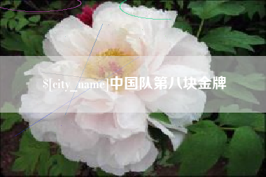 济源中国队第八块金牌