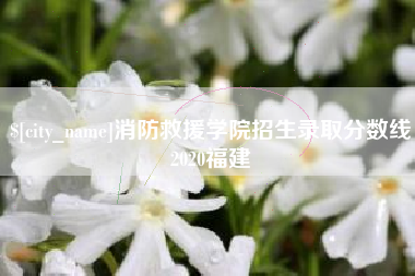济源消防救援学院招生录取分数线2020福建