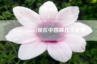 济源现在中国哪几个金牌