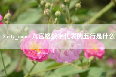 济源九宫格数字代表的五行是什么