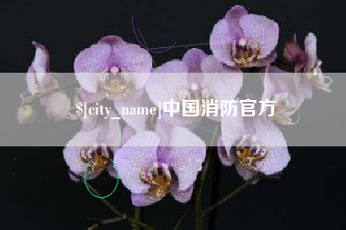 济源中国消防官方