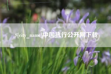 济源中国执行公开网下载
