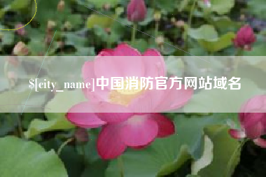 济源中国消防官方网站域名