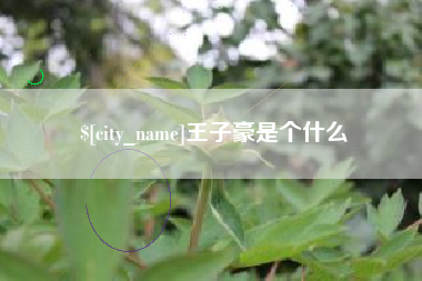 济源王子豪是个什么